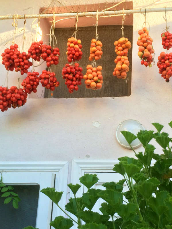 Ischia Island, gedroogde tomaten. Photo by Lisa van de Pol