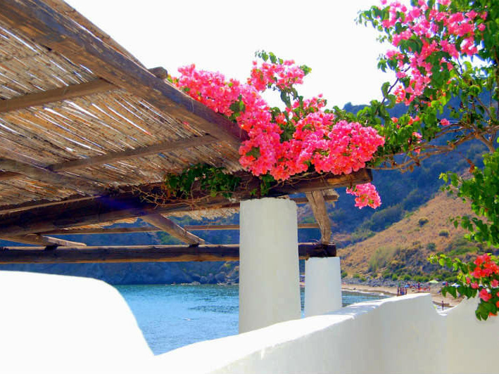 Panarea Island, bougainville, photo by Lisa van de Pol, Italian Summers